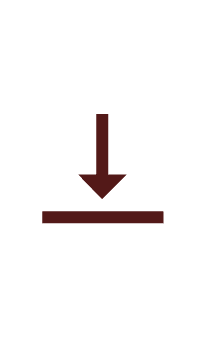 DISCO download icon